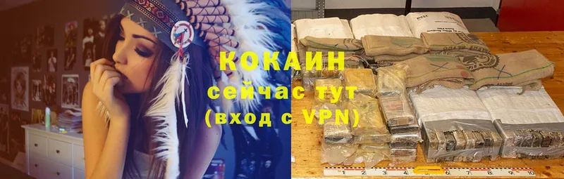 MEGA зеркало  Нерехта  darknet клад  Cocaine 97% 