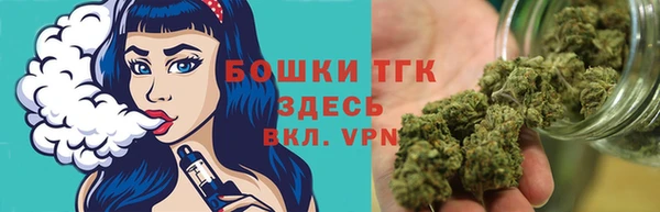 твердый Пересвет
