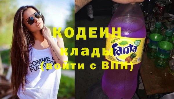 СК Няндома