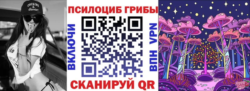 где купить наркоту  Нерехта  Галлюциногенные грибы мицелий 